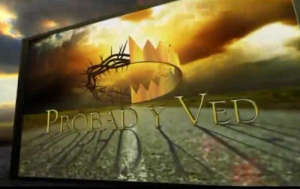 ProbadYVed